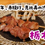 恵比寿で「もう一軒だけ」の正解。赤提灯の老舗『栃木屋』で串4本＋麦ソーダ