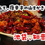 ひぃひぃ汗をかいて、最高。池袋のガチ中華「知音食堂」で本場四川を浴びる