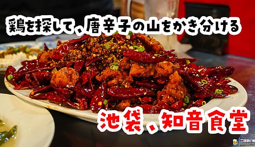 ひぃひぃ汗をかいて、最高。池袋のガチ中華「知音食堂」で本場四川を浴びる