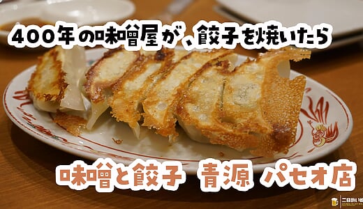 新幹線まで時間がない。そんな旅人を救う宇都宮駅ナカの餃子「青源」