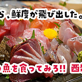 店名で挑戦してくるお店、「俺の魚を食ってみろ!!」西新宿で受けて立ってきた^^