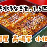 肝焼きと焼き鳥で焼酎3杯、〆に幻のうなぎ。小伝馬町「鰻屋 高嶋家」の共水うな重