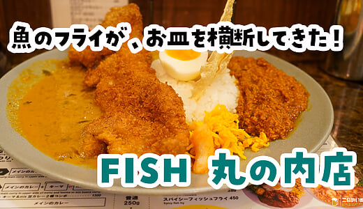 いや、フィッシュでっかｗｗｗ 丸の内「FISH」の2代目フィッシュカレー