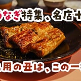 土用の丑はどこで？東京の鰻の名店16選。共水・天然・老舗まで食べ倒してきました！