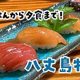 【2026年8月更新】八丈島グルメ6選｜朝8時半の朝ごはんから〆の焼肉まで実食レポ