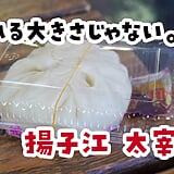 参道の食べ歩きグルメかと思ったら、食べ歩けないｗ 太宰府『揚子江』の豚まん