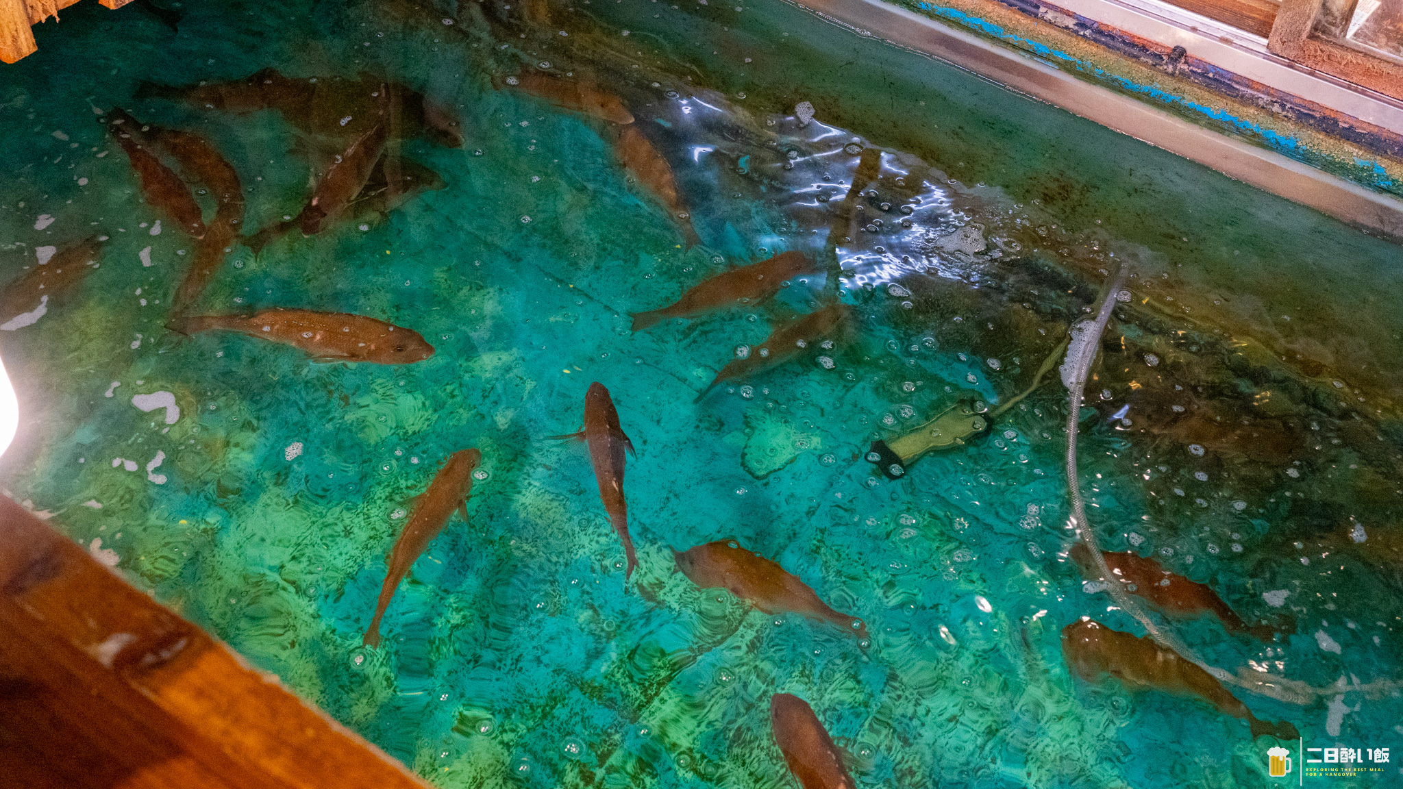 完全に魚がスレてますwww 新宿『釣船茶屋ざうお』で餌釣りが全然ダメだった話。 6