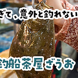完全に魚がスレてますｗｗｗ 新宿『釣船茶屋ざうお』で餌釣りが全然ダメだった話。