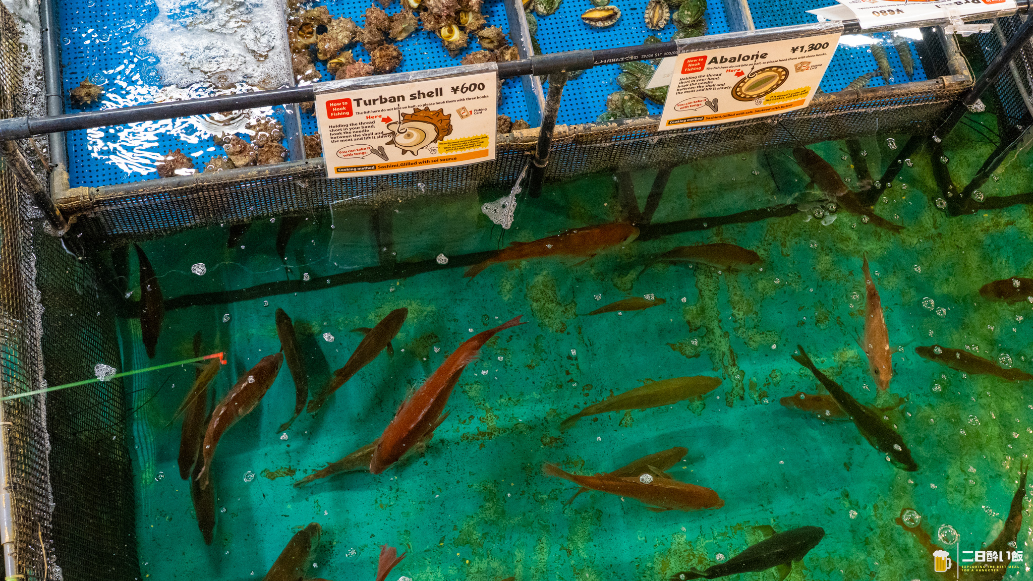 完全に魚がスレてますwww 新宿『釣船茶屋ざうお』で餌釣りが全然ダメだった話。 8
