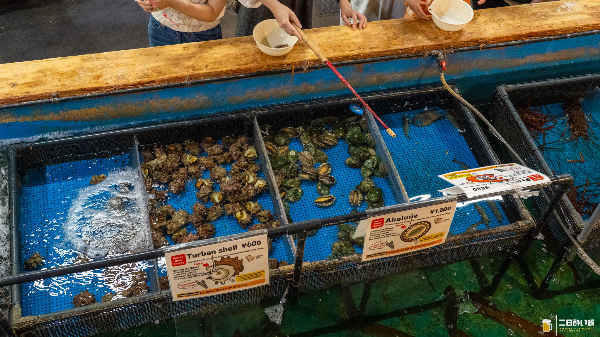完全に魚がスレてますwww 新宿『釣船茶屋ざうお』で餌釣りが全然ダメだった話。 10