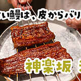 蒸さない鰻は、皮からぱりん。神楽坂『濱千』の鰻コースに4種のペアリング。