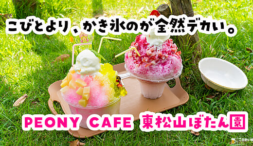 死ぬ思いで買ったかき氷が、デカすぎたｗ 東松山ぼたん園『PEONY CAFE』のこびとづかんコラボかき氷