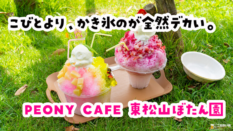 死ぬ思いで買ったかき氷が、デカすぎたw 東松山ぼたん園『PEONY CAFE』のこびとづかんコラボかき氷 3
