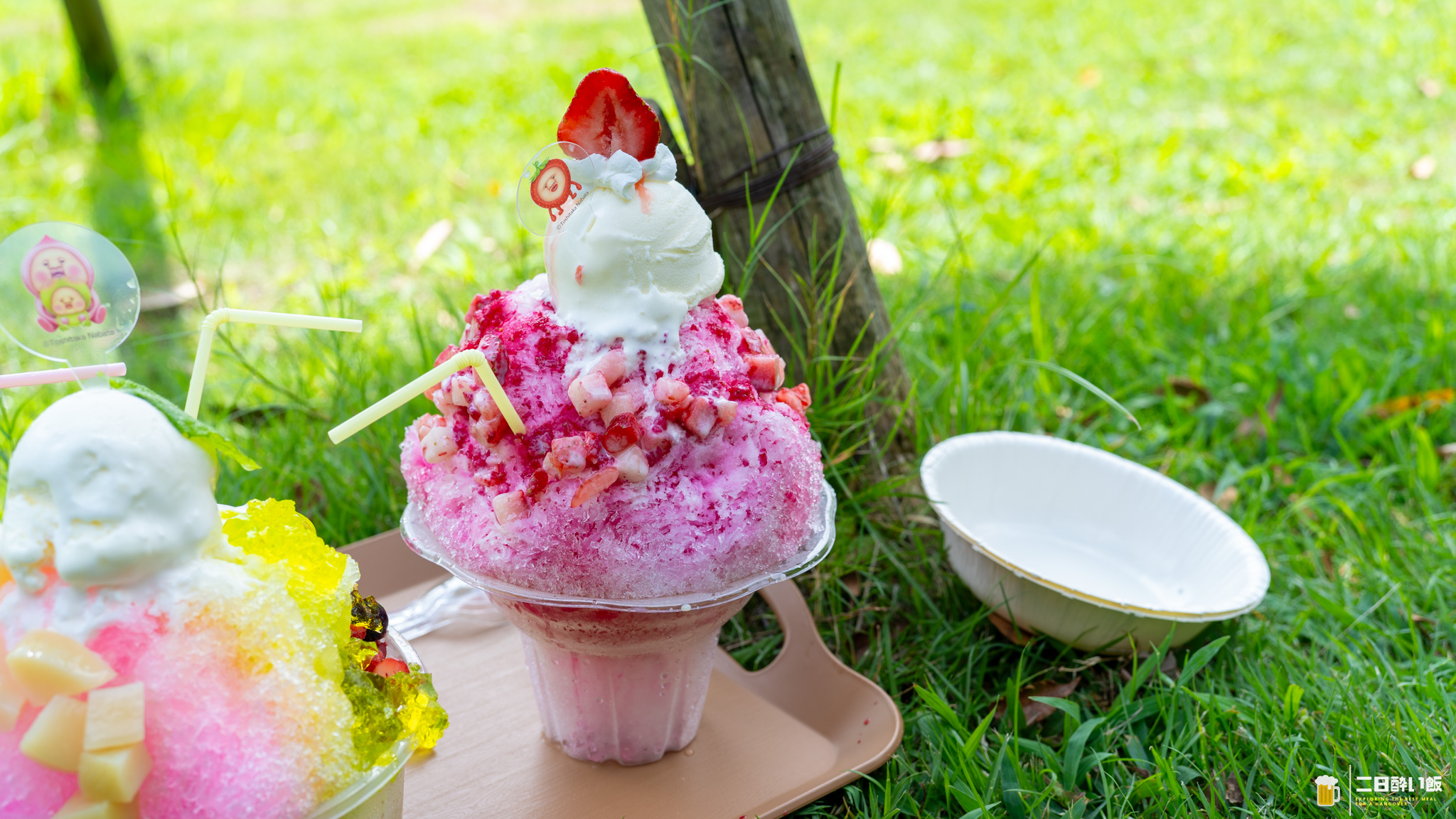 死ぬ思いで買ったかき氷が、デカすぎたw 東松山ぼたん園『PEONY CAFE』のこびとづかんコラボかき氷 7